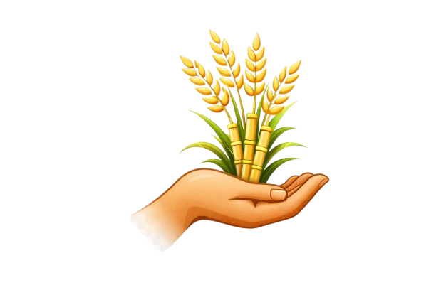 whatsapp image 2026 01 31 at 4.58.08 pm removebg preview